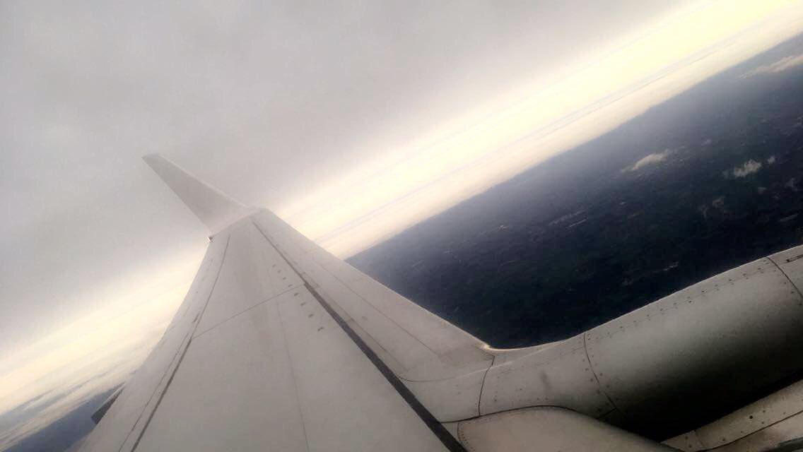 Lyra_Copeland's tweet photo. Well this is an odd form of transportation #Snakesonaplane #MoMisconfused #flyingmuggledeathtrap https://t.co/7z9R0drPyE