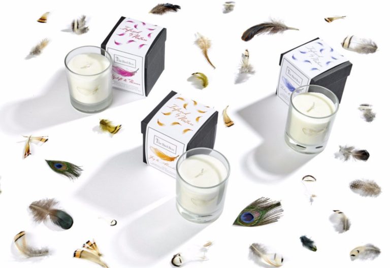 Scent your home without toxic VOCs with any one of these 100% natural #scentedcandles:

<a href="/The_Bird_Box/">The Bird Box</a>: eluxemagazine.com/homestech/best…