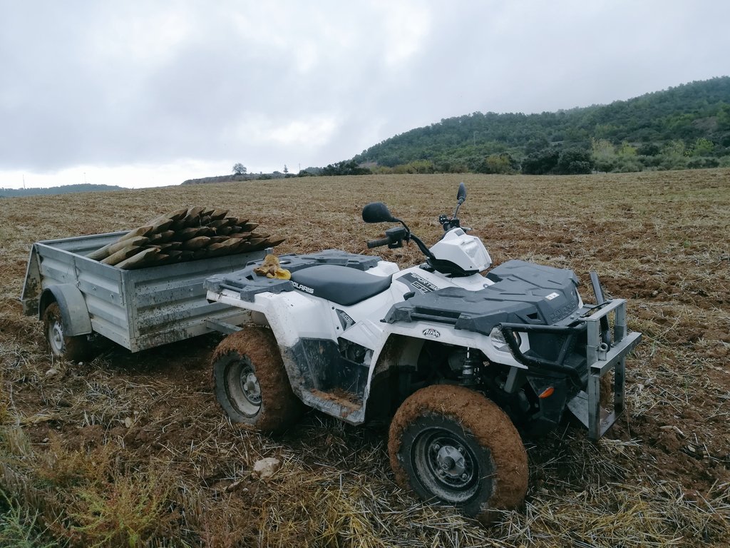 Alejandro_nch0's tweet photo. It's time to preparing new truffle plantation. #truffle #reguera #polaris #tubermelanosporum #trufa #tofona https://t.co/4yFhcoUr6G