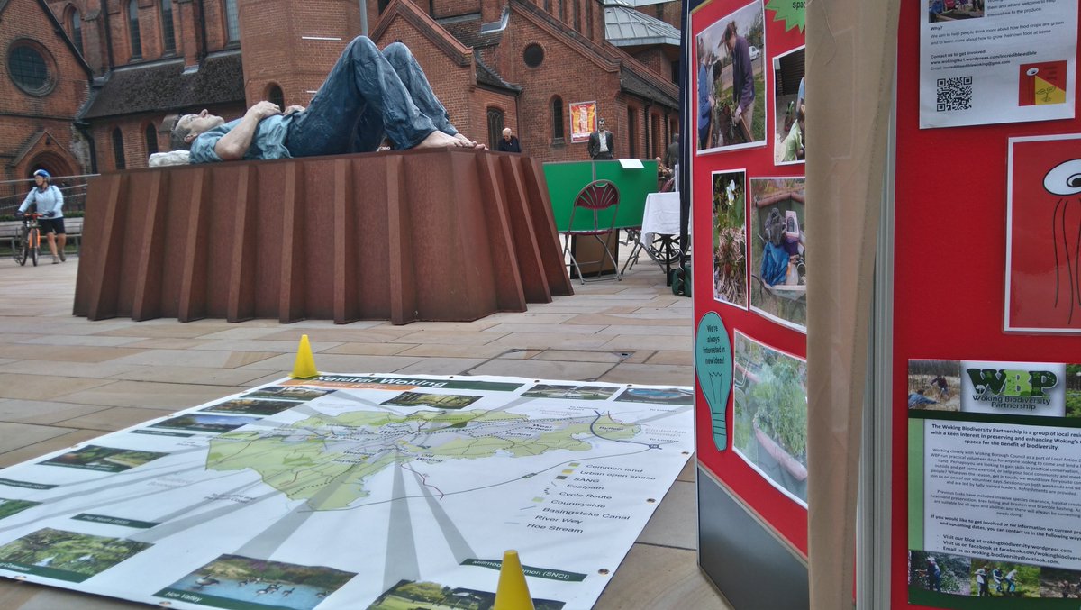 WokingLocalFood's tweet image. Some pics from the recent Living Well Week event - Norman even made a little raised bed to show people how Incredible Edible Woking works.