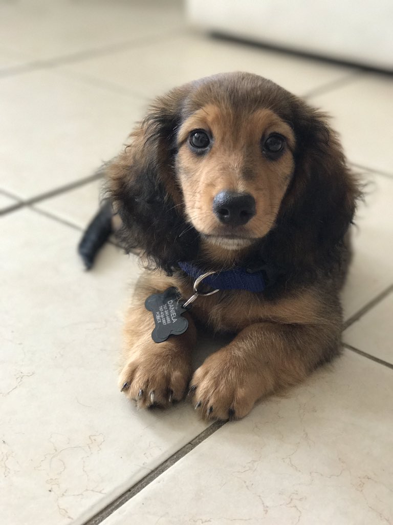 danielasambolin's tweet photo. Tiago, el nuevo dueño de mi corazón.💙 https://t.co/a26c8cLEmS