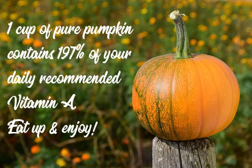CaFarmTrust's tweet photo. We love pumpkins for making pies, breads & soups, but did you know the festive fruit is also an excellent source of potassium! #EdibleDecor https://t.co/CrNaYHq3qo