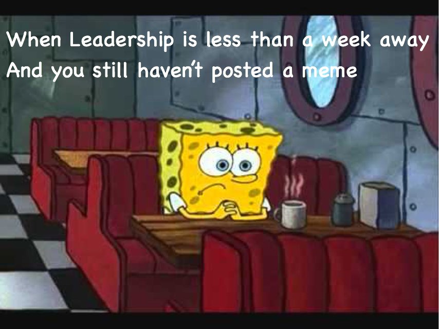 FLTSA_memes's tweet photo. We haven’t posted in a while. But we are still dank. In case you were wondering. #notdank #verydank https://t.co/BZ0cd79qRA