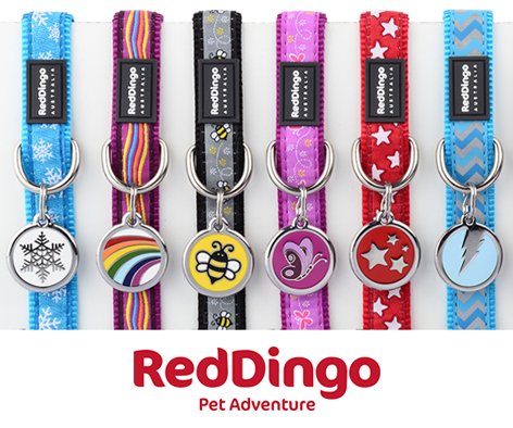 red dingo unicorn collar