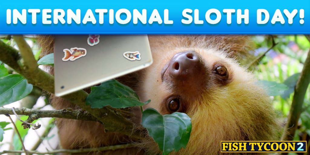 FishTycoon2's tweet photo. It’s Sloth Day! We love these lazy, adorable creatures! We just wish they swam in tanks! #fishtycoon #ft2 #sloths #socute #comeswimwithus https://t.co/4o3n8ZbnSE