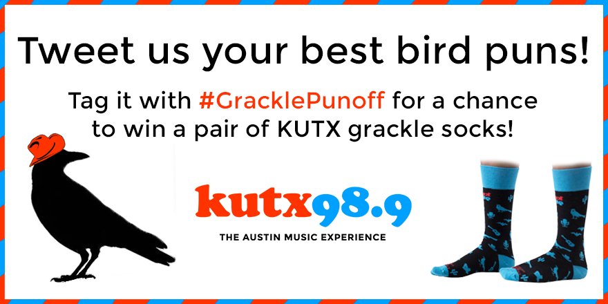 KUTX's tweet image. It's #gracklepunoff time! Tweet @kutx with your best bird pun by Oct 30 for a chance to win our newest socks. (Ha. We said tweet.)