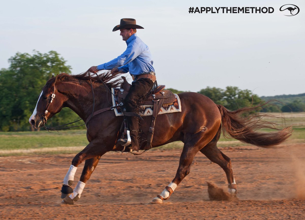 Clinton Anderson On Twitter To Deter A Barn Sour Horse Hustle