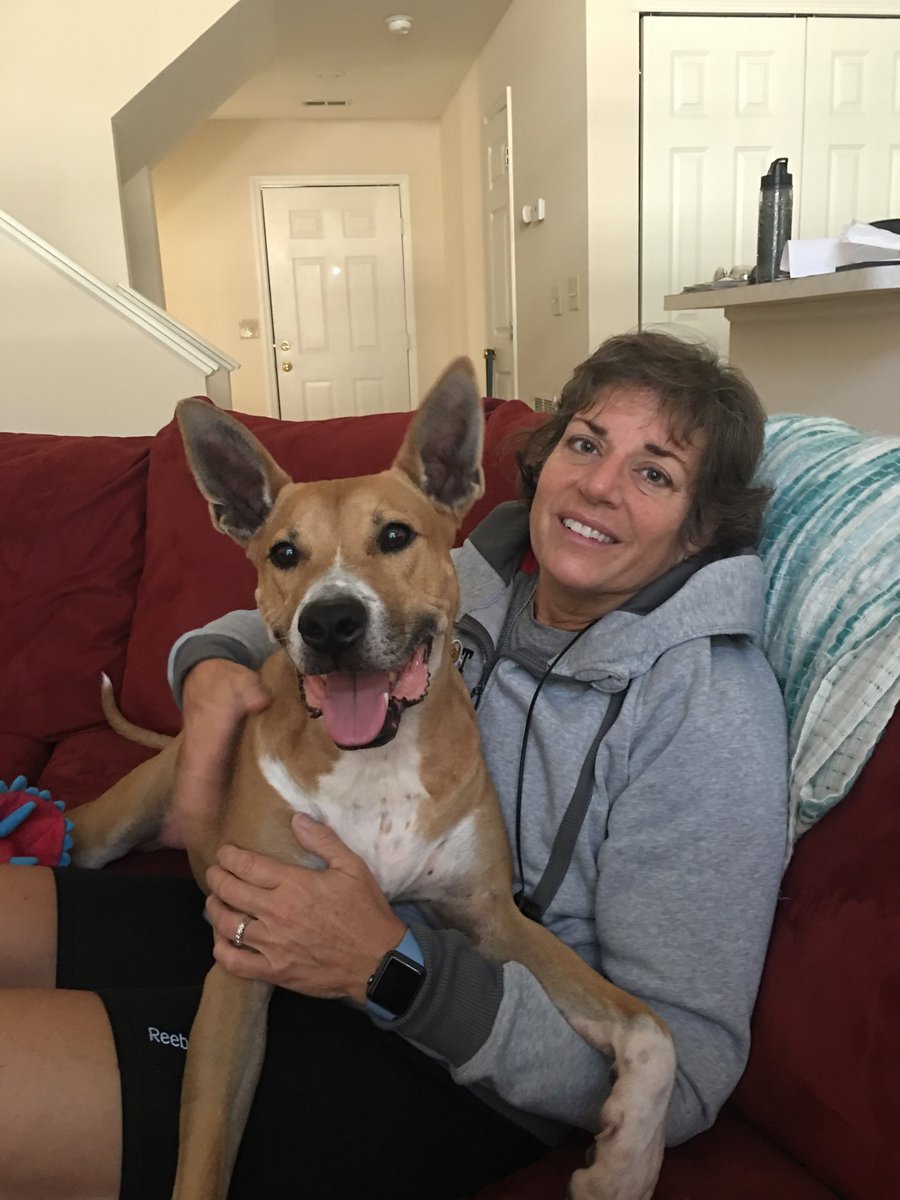 Pachutajo's tweet photo. I think my grand dog finally likes me! Why do big dogs think they’re lap dogs? 😊
#smallpony https://t.co/kQ7MOy1ZyM