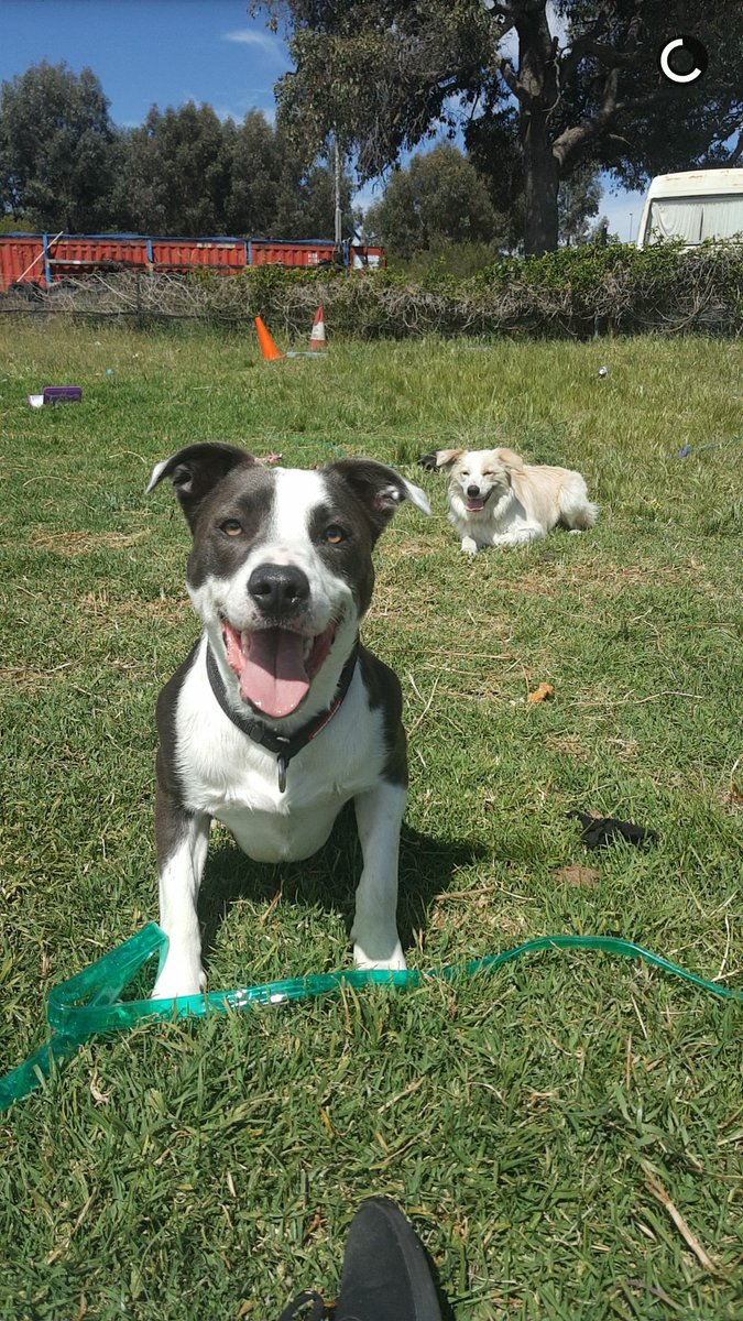 jennalyons451's tweet photo. Just in case anyones forgot me Friends will always be friends home will always be home. But life is defo what YOU make of it 💙 #aussielife https://t.co/z0eRa7uiIP