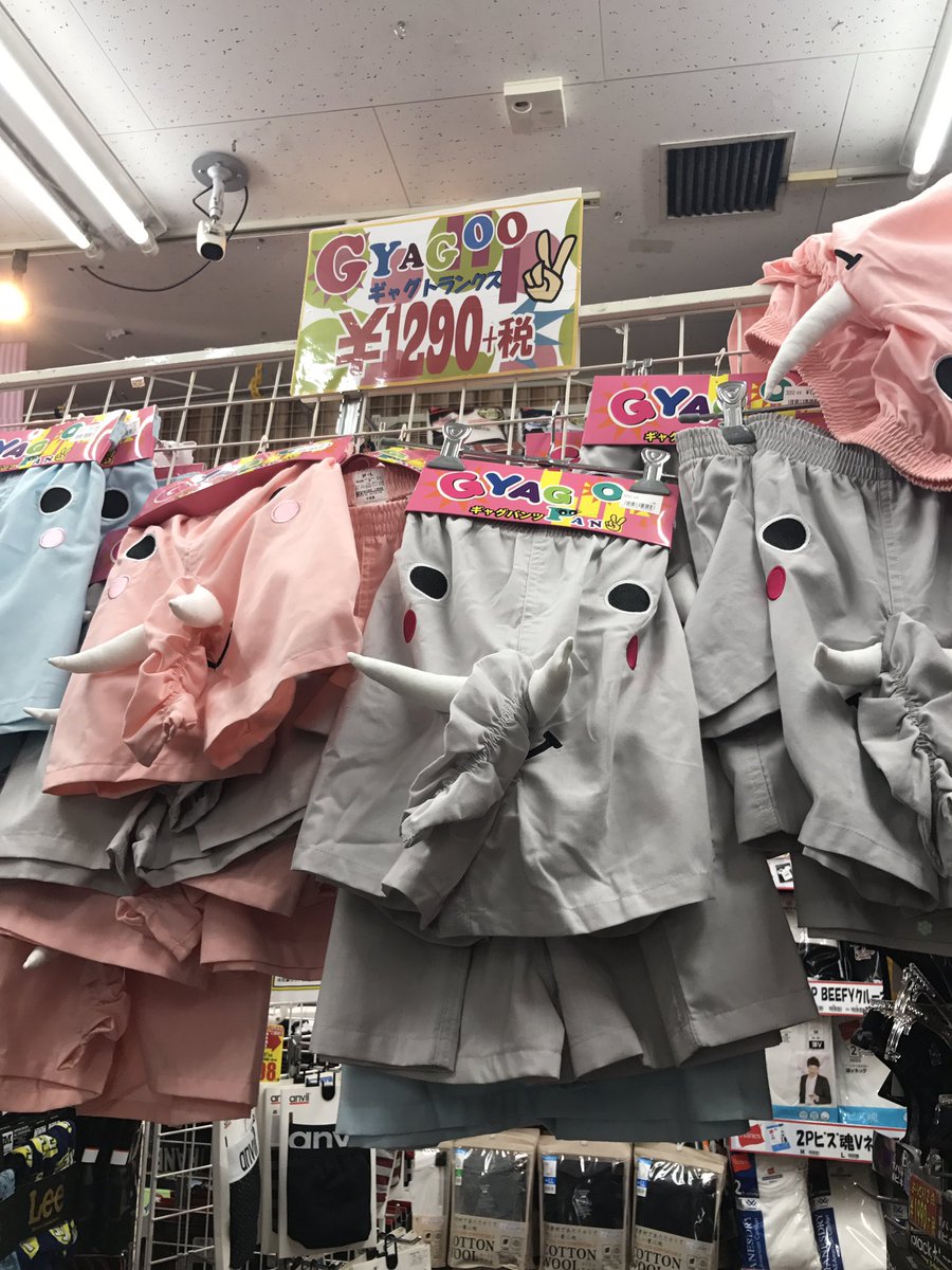 カーペット 売る 透けて見える ドンキ パンティ Nozawa Transportation Jp カーペット 売る 透けて見える ドンキ パンティ Nozawa Transportation Jp