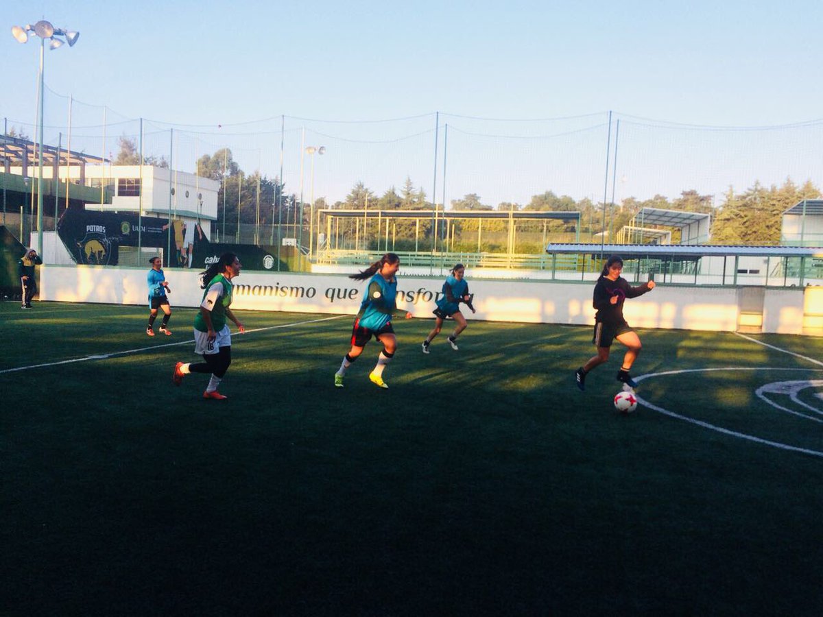 PotrasFCUAEM's tweet photo. Terminamos los entrenamientos de esta semana en la #UDALM. Cada día esforzándonos por ser mejores.
#ActitudPotro
⚽️🐎 https://t.co/zxJ1ZFOffG