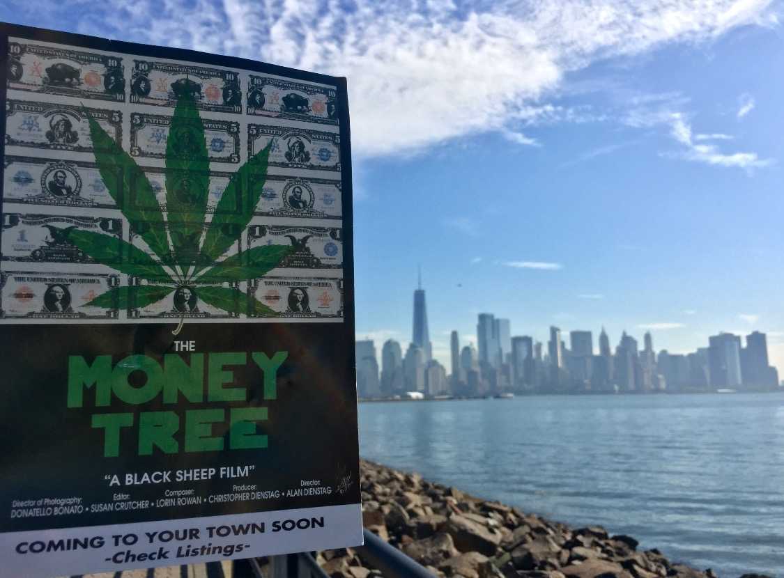 moneytreechris's tweet photo. The #BrightLights #BigCity of #NYC called, and we picked up the #Cannabis line. What city do you want #TheMoneyTreeMovie in? RT responses... https://t.co/GVMaYu3yoQ