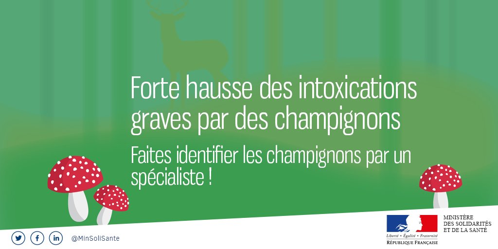 Alertes Sanitaires tweet media