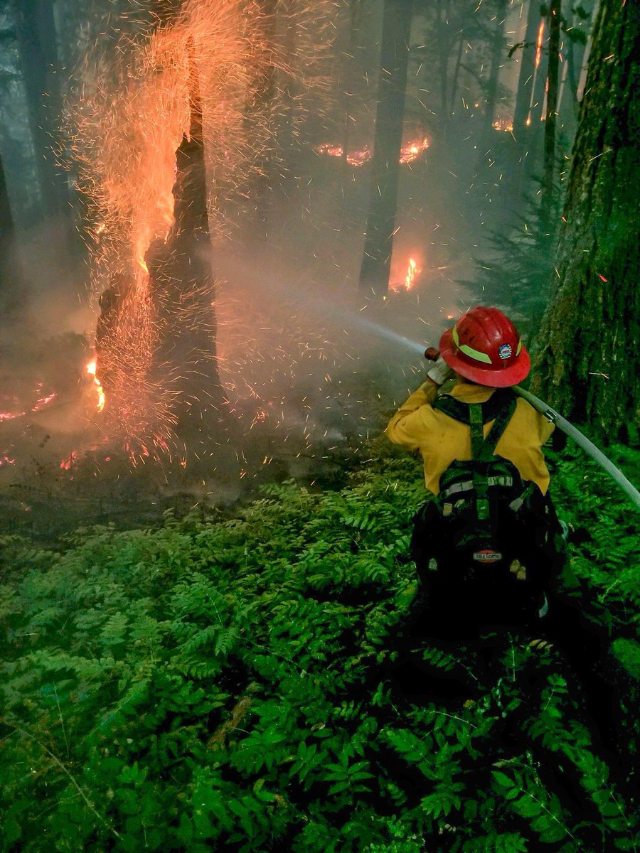 We are looking for committed  #firefighters to fight #wildfires &amp; work in fuels management as permanent employees! fs.fed.us/r6/fire/hiring/