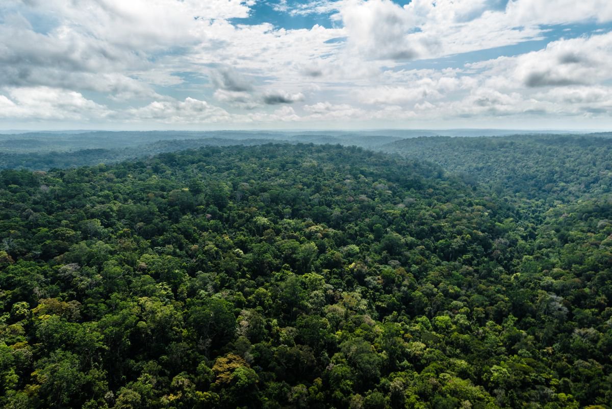 AmazoniaLot1AB's tweet photo. 63 Indigenous people have been killed in conflicts of resources in rural areas in Brazil this year.
https://t.co/5cmyxEjNl6 https://t.co/ruvWeOq3hX