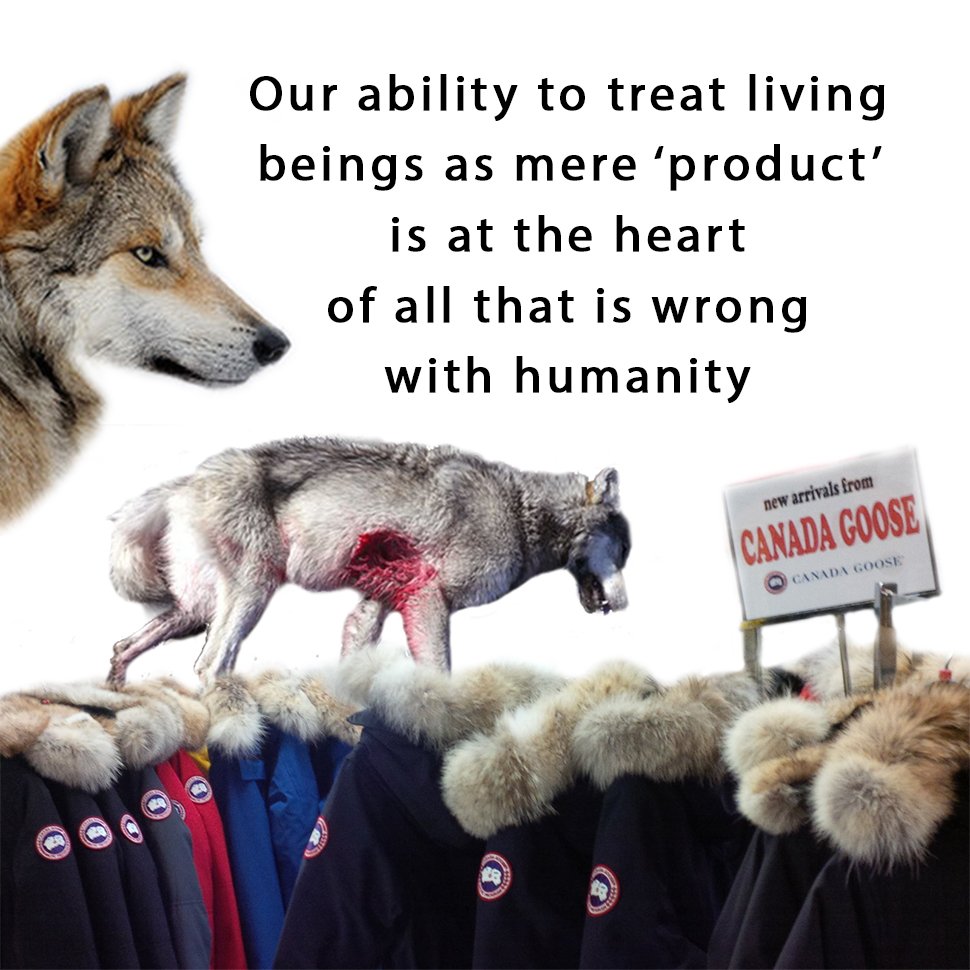 _AnimalAdvocate's tweet photo. It's not the #StoneAge so stop #dressing like it!
If you #wear fur, you paid the hitman 😡
#Animals are not products!
Help make a #Fur free 🌎 https://t.co/oZR9JJl4gW