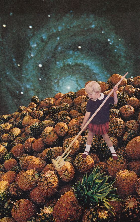 witandvoi's tweet photo. Eine Woche war hier gar nichts los. Lag wohl an dem Haufen Ananarbeit...
F R I Y A Y
#pineappleoftheweek #witandvoi #friyay #antijoke https://t.co/5f2xQCB4cx