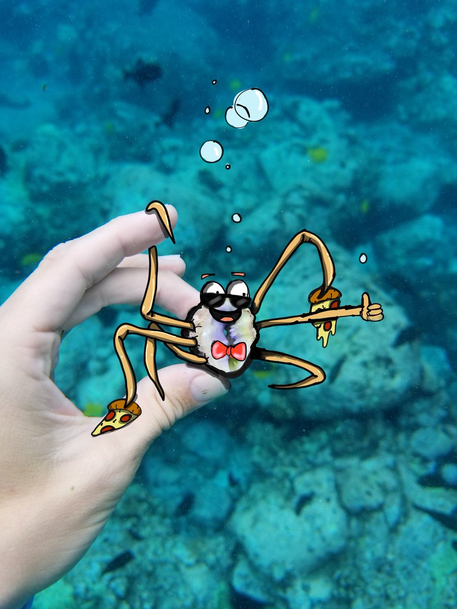 Samsung Mobile US tweet media