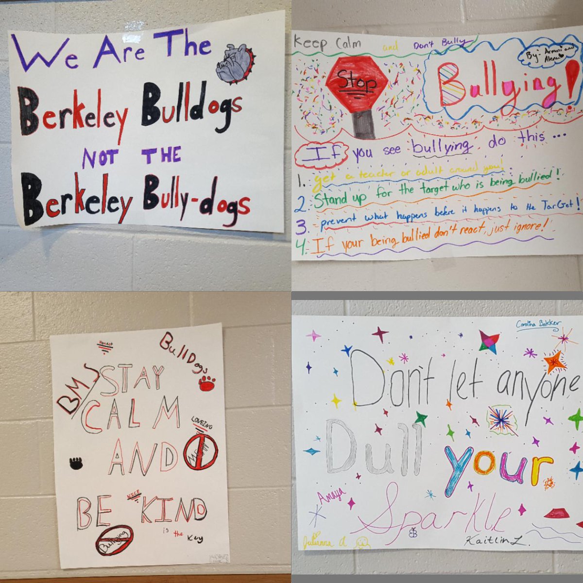 BMS Counseling tweet media