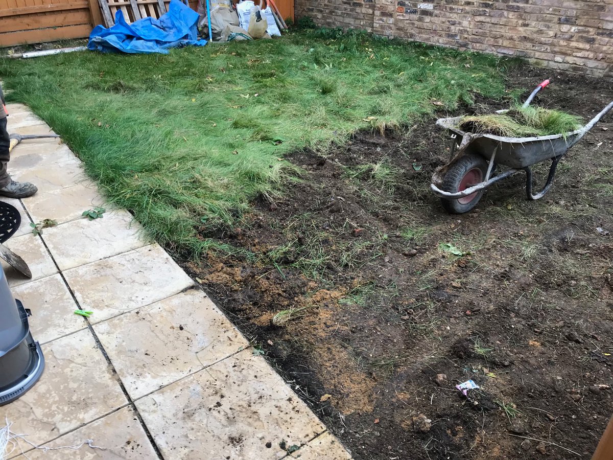 SSurfacing's tweet image. Garden before
