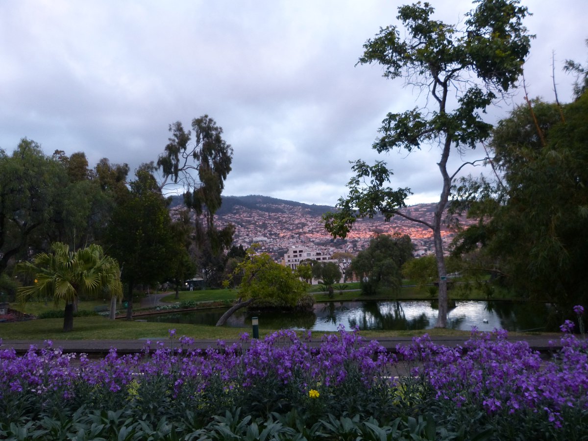 MaisonCasalaura's tweet photo. Parque de Santa Catarina - Funchal- Ilha da Madeira
#casalauramadeira #maisoncasalaura #maisonlocation #rentalhouse #funchal #madeiraisland https://t.co/3shyyPYLtx