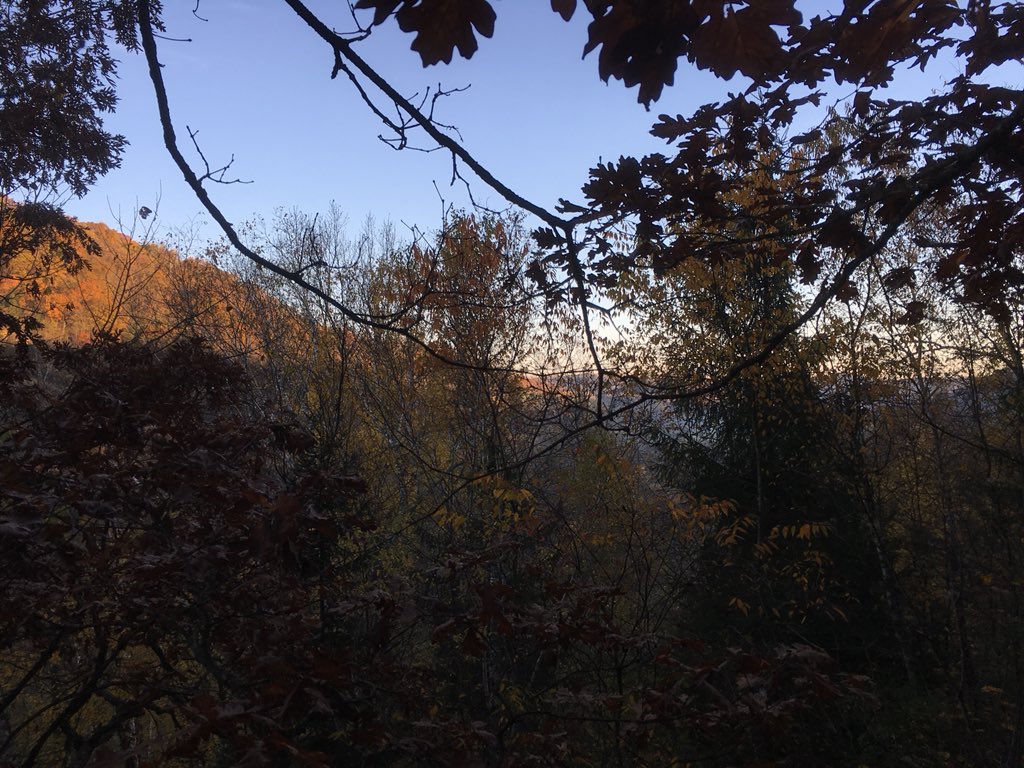 tbaker641's tweet photo. Good day to get away from work.  Sunrise and coffee in deer stand.  Doesnt get old!  @sbaker2501 https://t.co/KQsutFhps7