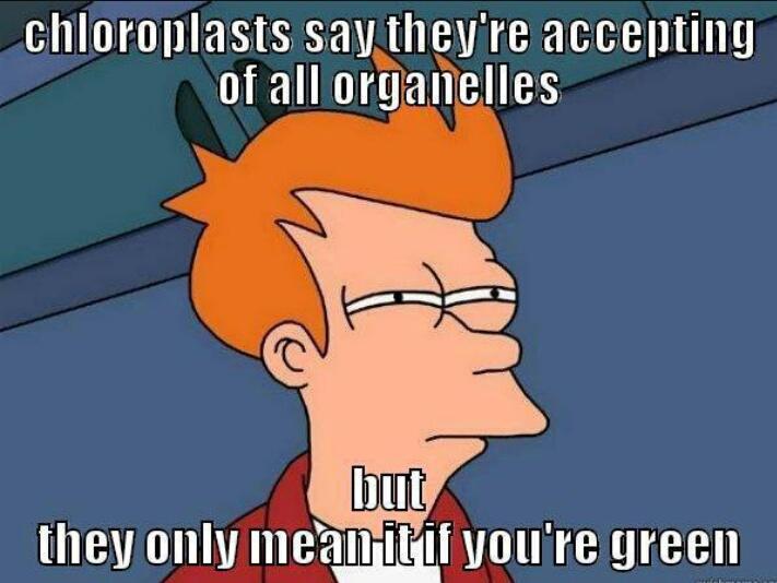 mitochondria_64's tweet photo. @Mitoenergy2 @ms_westfall  #orgenellewars  why y'all so racist against us other organelles? https://t.co/HuMNQYlNPA