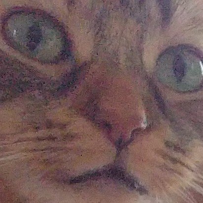 THIS IS A MOMENT OF AWAKENING 
<a href="/Constance_WI/">Constance</a>