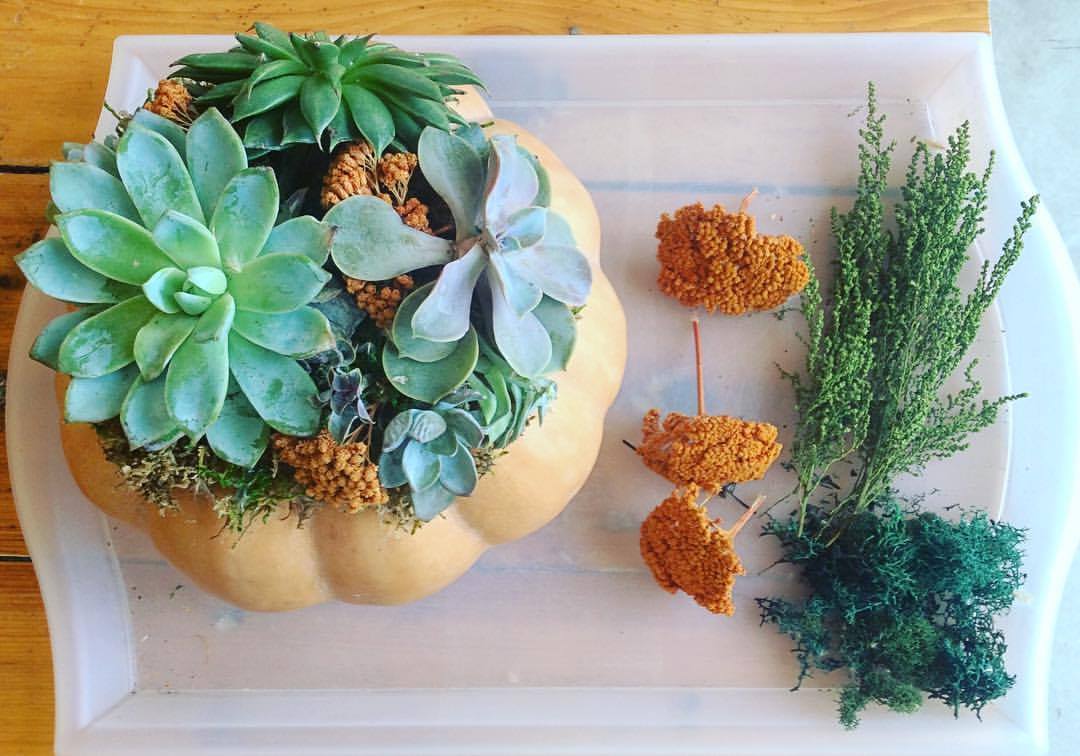 Our Pumpkin Arrangement Class is 4 days away! Snag a spot! Search Pumpkin Arrangement on our website to buy tickets jadeandclover.com