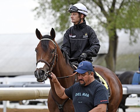 BH_AEberhardt's tweet photo. RIP #Irap. Condolences to all @DougONeill1 #ReddamRacing Shown with @JulienLeparoux training @keeneland https://t.co/THQEPMXRmg