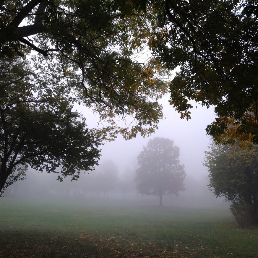 Kapitanylany's tweet photo. #séta a parkban 🍁🍂 #ősz #Autumn #nofilter #köd #fa #fasor #falevél #óhegy #óhegypark #park #táj #kőbánya #xkerület #Budapest #smile #mosoly https://t.co/u02uDCI7Zt