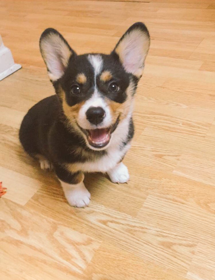 efisher97's tweet photo. Happy Friday! Here’s something to make you smile today 😊 https://t.co/J6kIe7RQzl