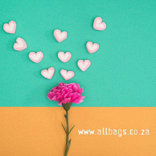 All_Bags_Online's tweet photo. For the love of bags… Shop now >> https://t.co/88jzJRj5JB
#allbags #handbags #ilovebags #bags #fashion #style #johannesburg https://t.co/oMgimDZFk2