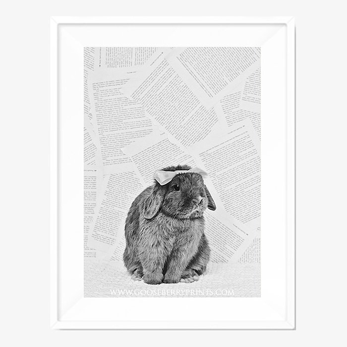 GooseberryTO's tweet photo. Still one of favourite @gooseberryprint ever! https://t.co/v2jaL3dxKh https://t.co/ih8dl5ScLp