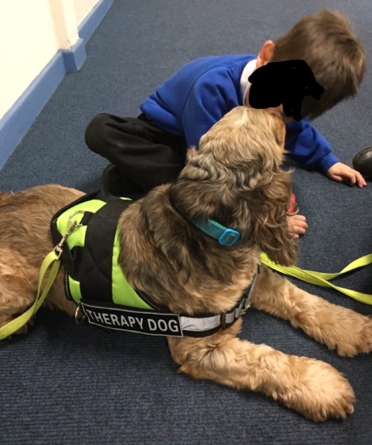 dovecote2005's tweet photo. We love our Loki in school #therapydog #reading #servicedog https://t.co/Y0fPdNVLMT