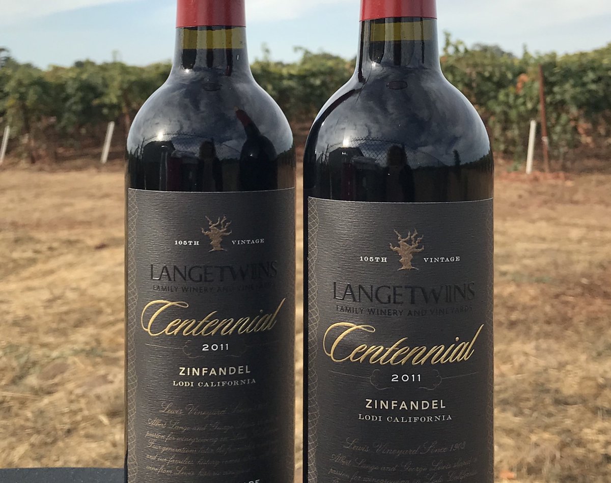 LangeTwins's tweet photo. A little rain last night makes for a beautiful vineyard side wine tasting this morning. #ltwines #langetwinswine #lodiwine #oldvinezin https://t.co/PCTMjlu7uE