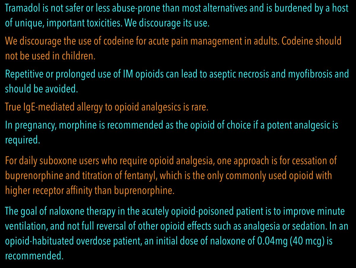 reuben strayer tweet media