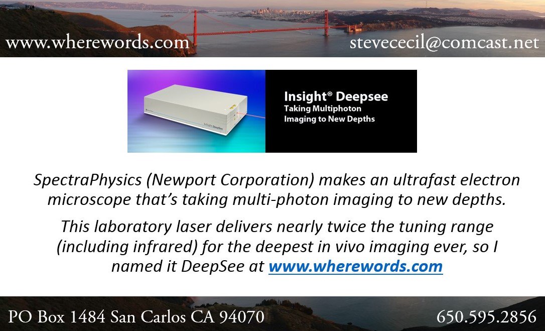 WhereWords's tweet photo. #Yesinamedit #DeepSee #NewportCorp #SpectraPhysics #lasers #imaging #microscopy #multiphoton #B2B #namer #naming #branding #VerbalBranding https://t.co/xrtyMg6qGY