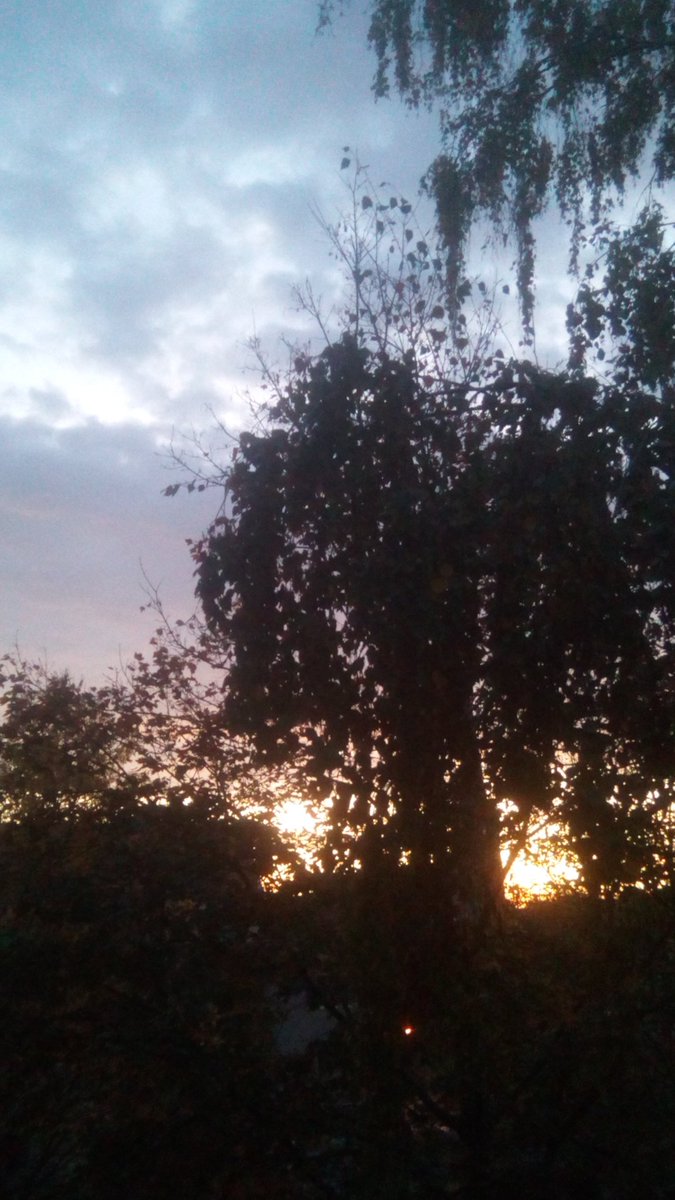 cesdenne (@cesdenne) on Twitter photo 