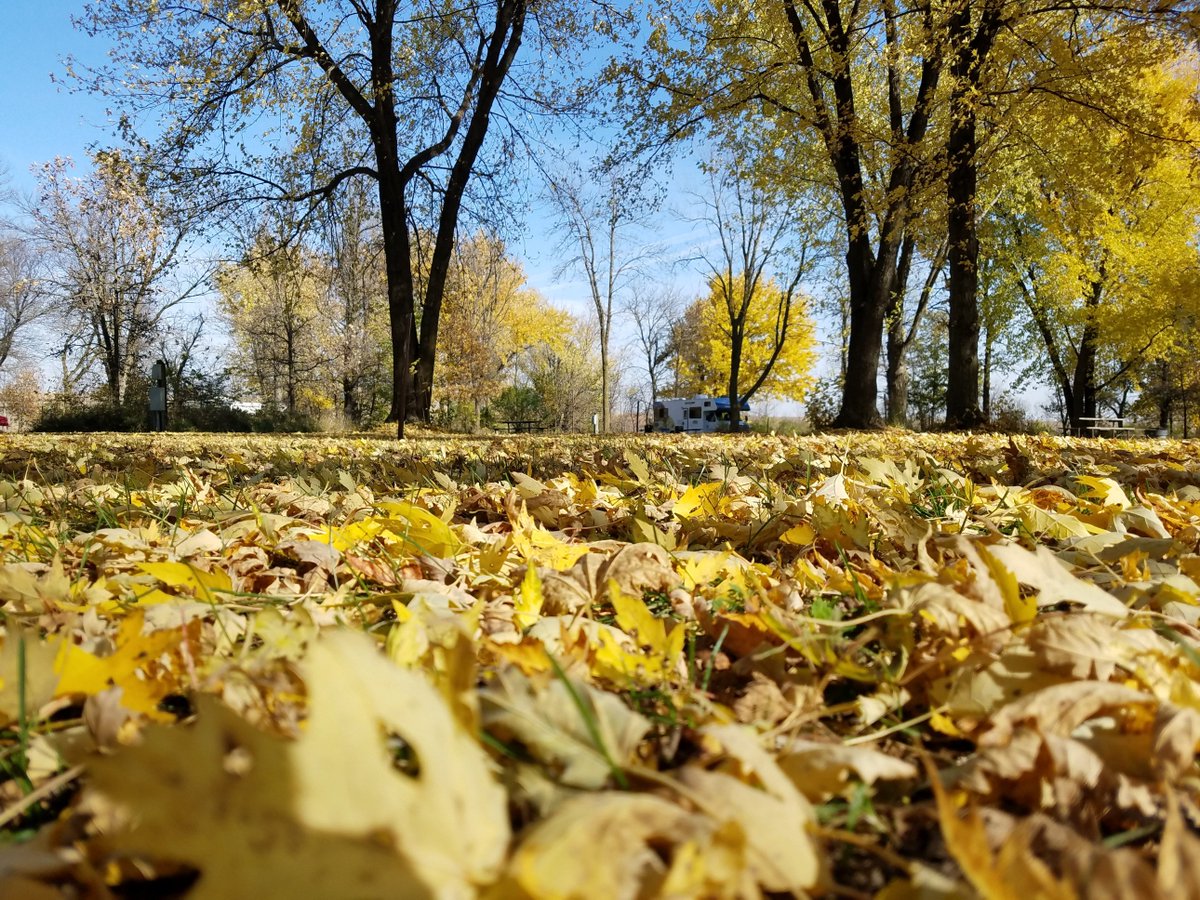 mnstateparks's tweet photo. So much #WowofFall in our parks the last couple of days. What are you seeing? Where are you going this weekend? https://t.co/So74LwhyhF https://t.co/f3uFCbI5Rv