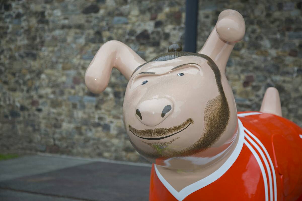 Local_Ladsnowdog17 tweet media