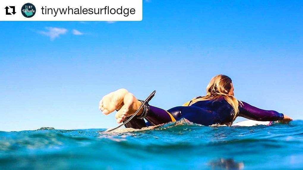 Becky_Wren's tweet photo. 1 week today &amp; I'll be on a jet plane🛫 to @tinywhalesurflodge 🏖🏄✌
.
.
#excitedmuch #1weekandcounting #portugal #su… https://t.co/AQJLuxUnvi https://t.co/scAdPRzOzD