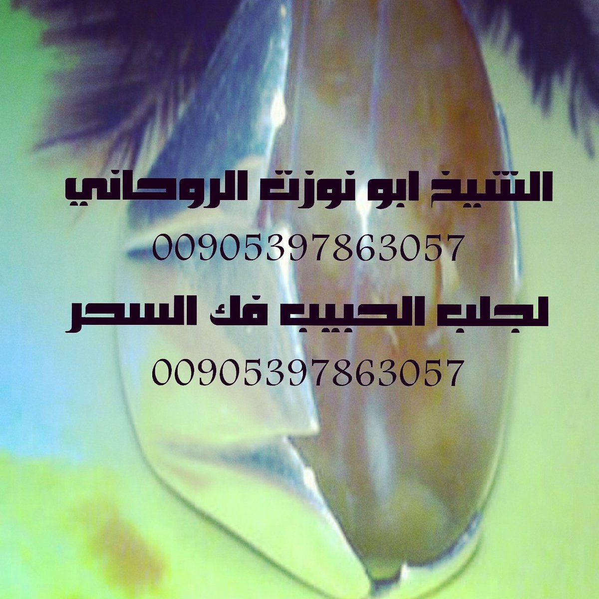 3almrohane2's tweet photo. الشيخ الروحاني
#جلب_الحبيب
#فك_السحر
#رد_المطلقة
#تسهيل_زواج_العوانس
#عمل_جلب_هيبه_وخضوع
#تحصين_مجاني3
#للتواصل_00905397863057 https://t.co/o0uVYXyDVz