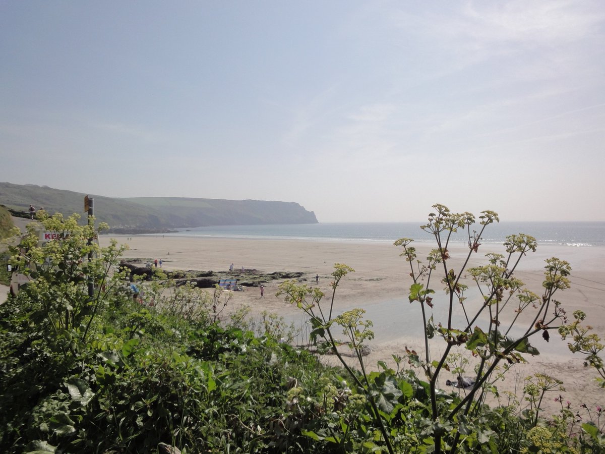 love cornwall tweet media