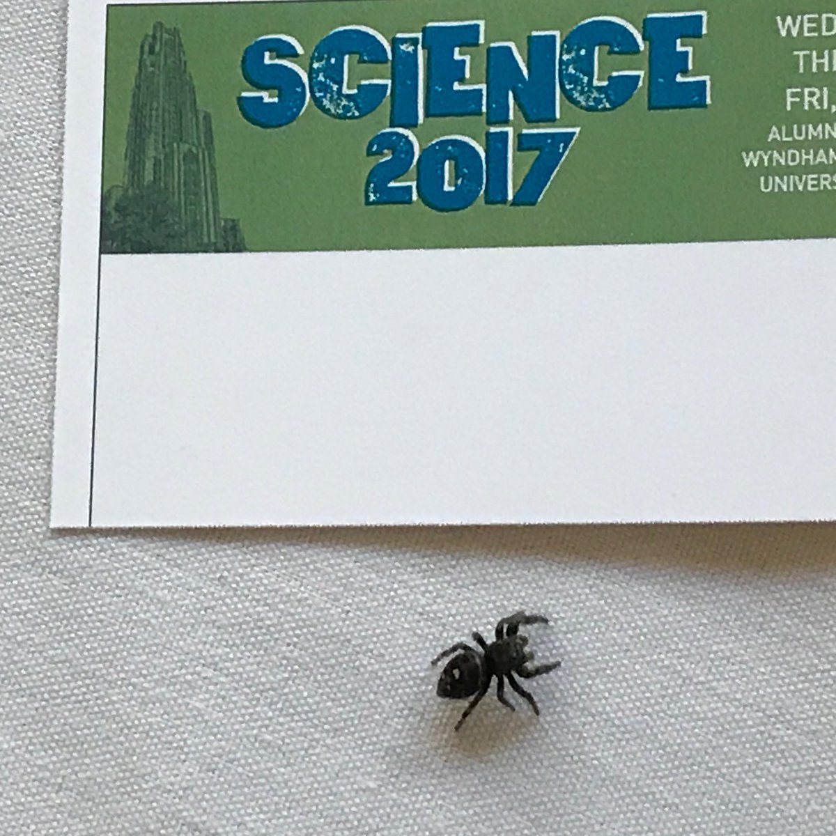 PittHealthSci's tweet photo. #PittScience2017 caption contest. Go! https://t.co/Uj9TWncsqH