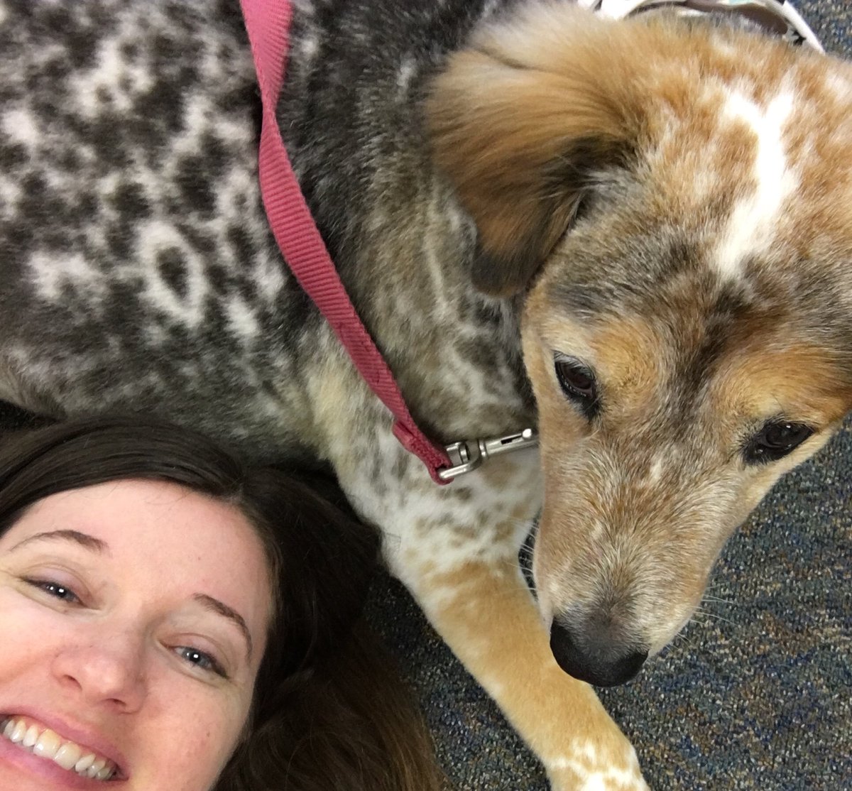 Learning to turn an idea into a published book.  Great day for our students!@TheWritePath_WE <a href="/AbsAmericanAdv/">Abbi Peters</a> <a href="/KatyISDEdFound/">Katy ISD Foundation</a>