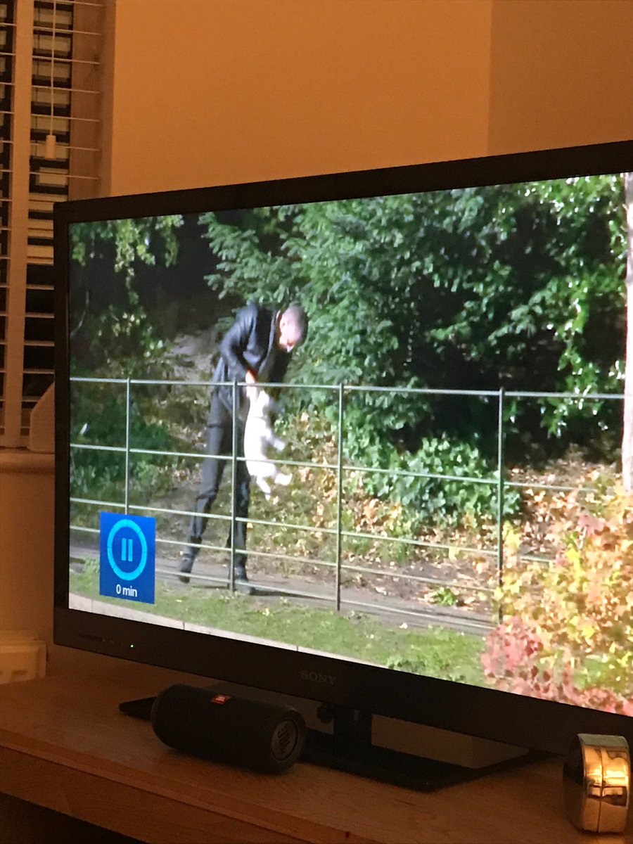 sara_quereshi's tweet photo. Anyone else just witness the man picking his dog up by the scruff of his neck... #NYCentralPark story?? @northwesttonight @BBCNews #poordog https://t.co/zcwxN69NVF