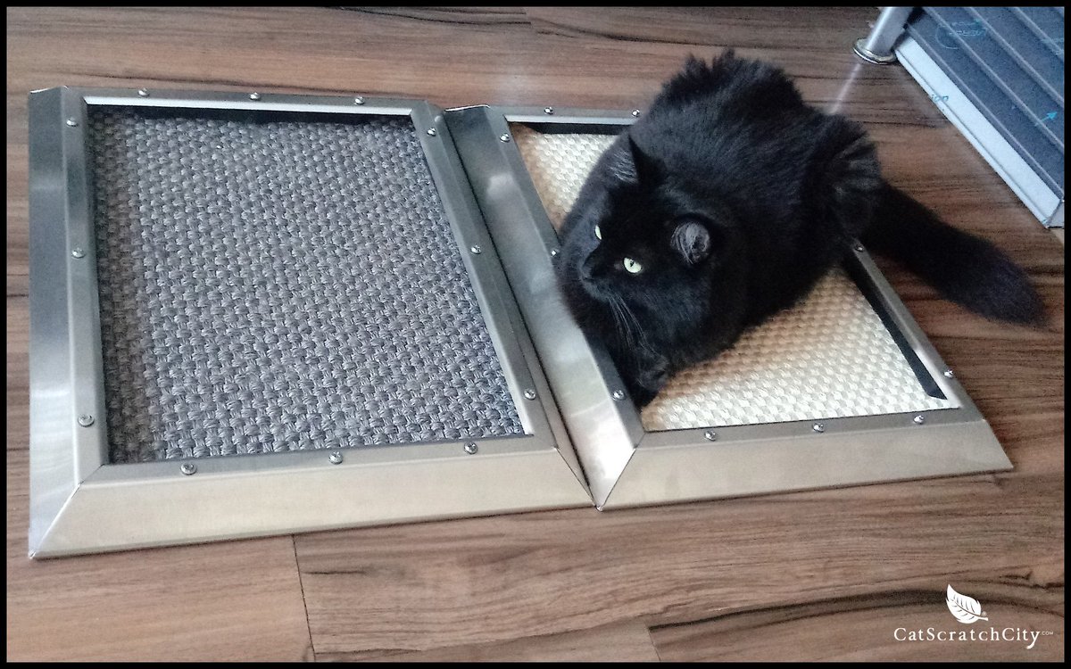 HelloCatScratch's tweet image. She loves her Flat Scratcher from CatScratchCity so much she has two!