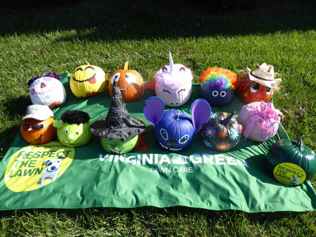 Virginia_Green's tweet photo. We participated in the #PumpkinsForKids Project benefiting the Children’s Foundation this year. Check out our #pumpkin creations! https://t.co/DqlU5yS27b