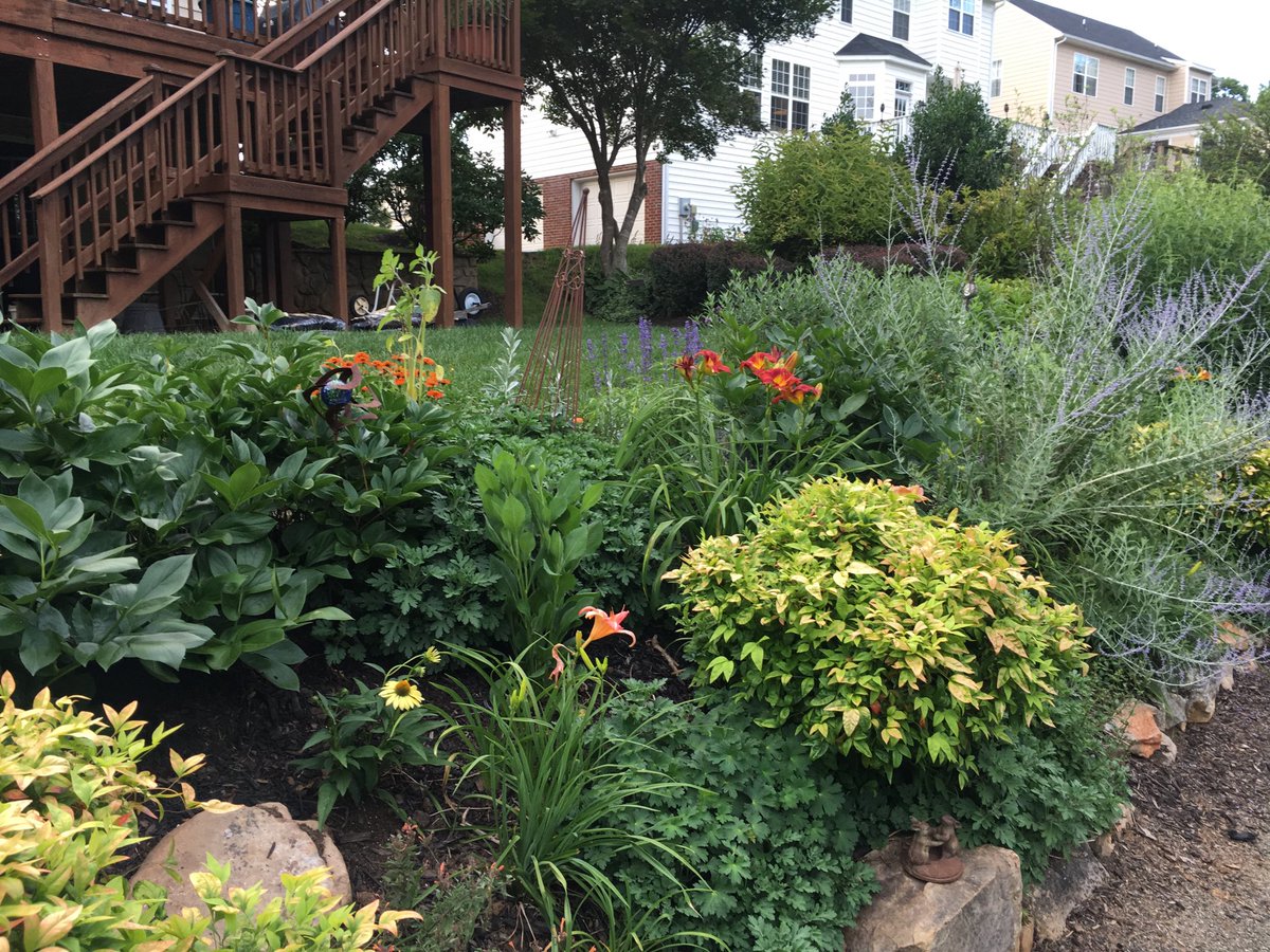 Photo from the homestead!